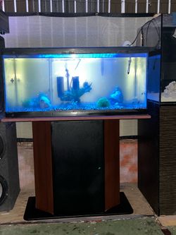 Wide 50-gallon fish tank