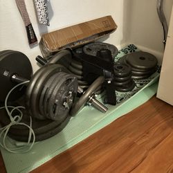 250lbs of Weights + Dumbbells And Ez Curl Bar 