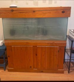 Free Fish Tank