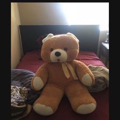Giant Teddy Bear