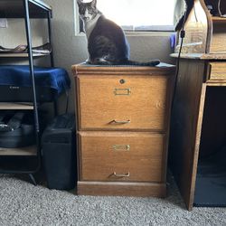 WOODEN-FILE  CABINET