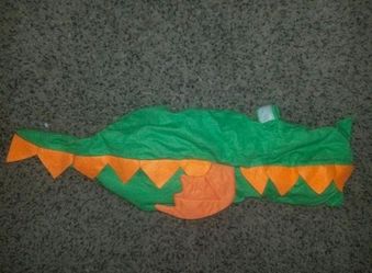 Pet costume
