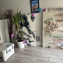 Venta Por Mudanza! Todo A Super Precio 