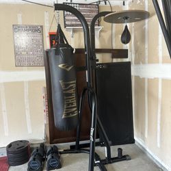 Everlast Heavy bag with Speed bag for sale $150