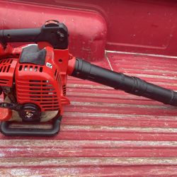 Shindaiwa Hand Held Leaf Blower