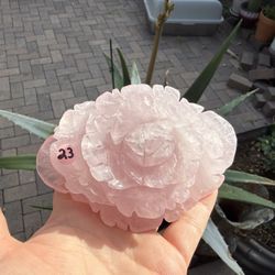 Rose Quartz Carved Rose 13.5 Ounces 