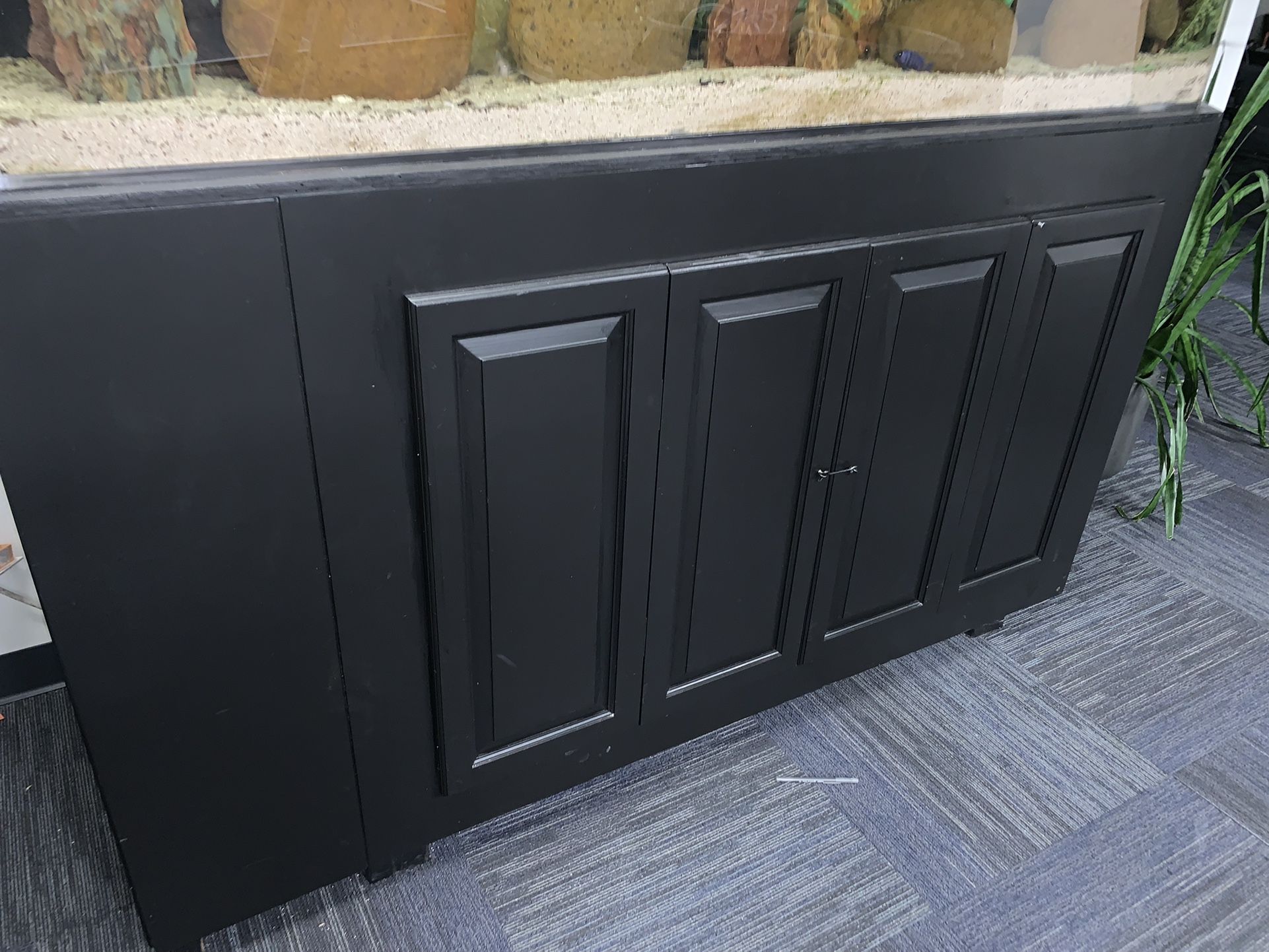 Custom 300 Gallon Aquarium