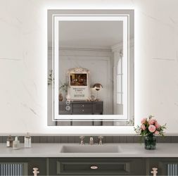 WTTY 24" x 32" LED Bathroom Mirror with Light