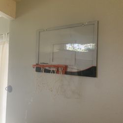 Silverback 23 x 36 backboard 