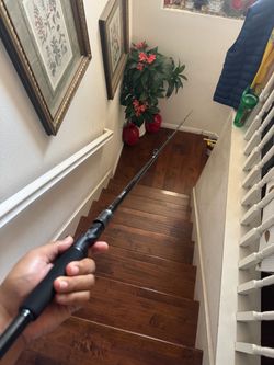 Daiwa Tatula Casting Fishing Rod