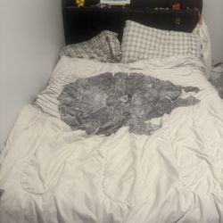 Kids / Teenager Beds 