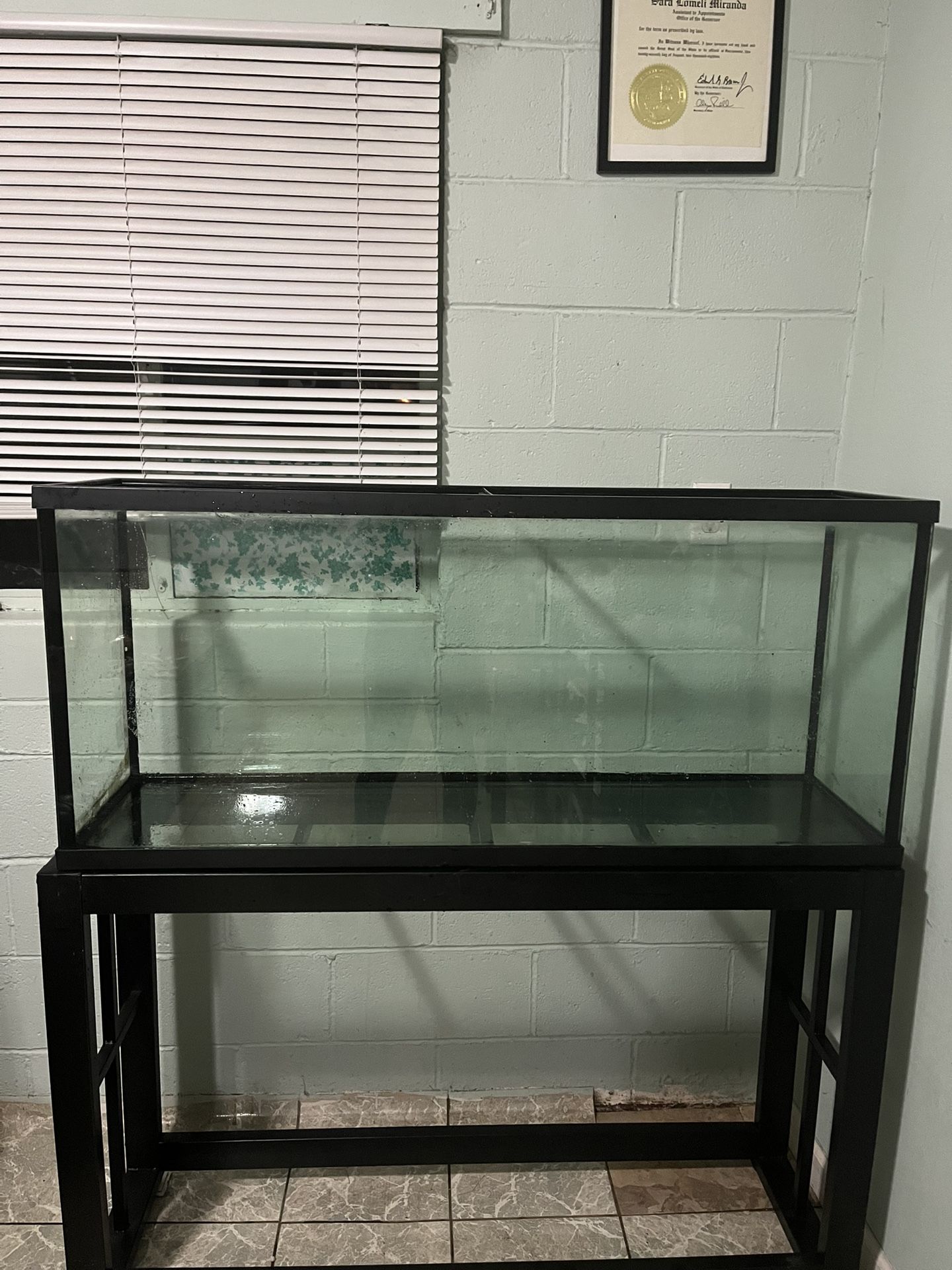 55 gallon tank and stand!!
