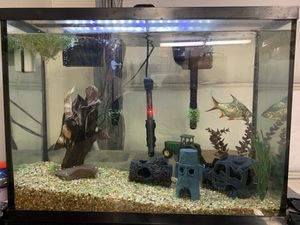 New And Used Fish Tank Decorations For Sale In Cincinnati Oh