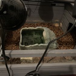 Turtle/animal Encasement