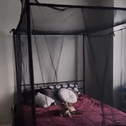 Queen Size Bed Frame For Sale Need Gone Now