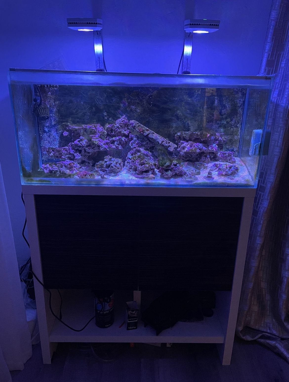 40 gallon saltwater fish tank aquarium 