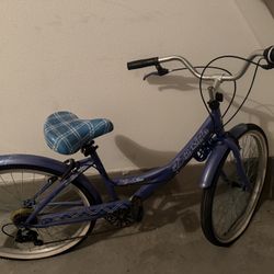 Purple Bayside Cruiser 