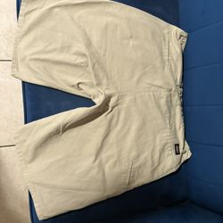 Dickies Shorts 