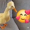 Nanda.🤗💞
