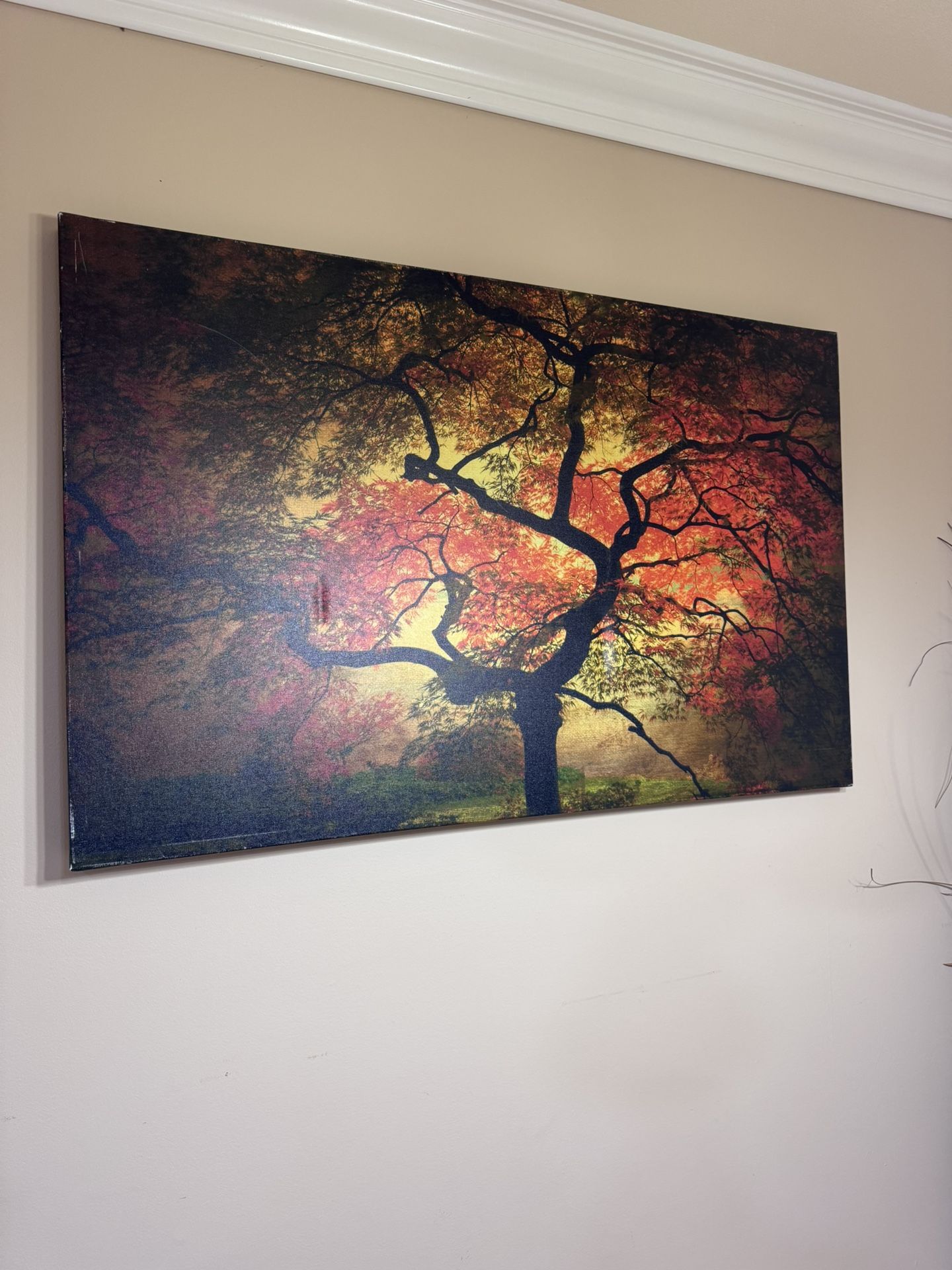 Large Canvas Wall Art – Autumn Tree – 47” x 30”
