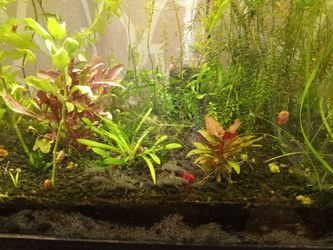 Aquarium Stuff Water Tank