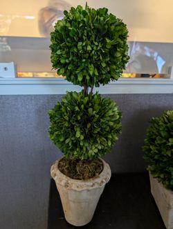 Decorative Faux Boxwood Topiary Plant