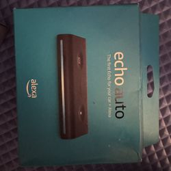 Echo Auto