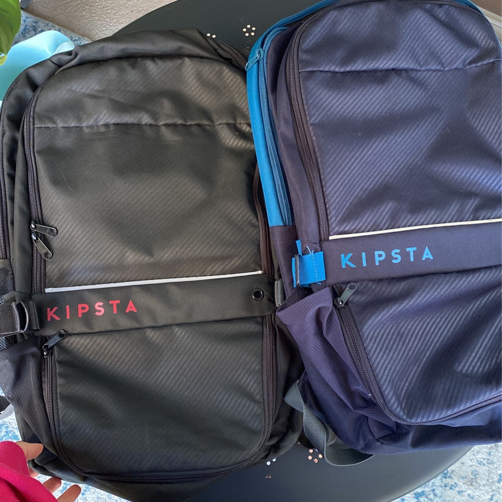 Two Hiking Backpacks 