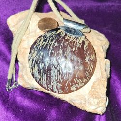 Pendant, Tortoise Shell Appearance 