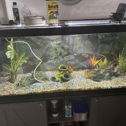 75 Gallon Aquarium
