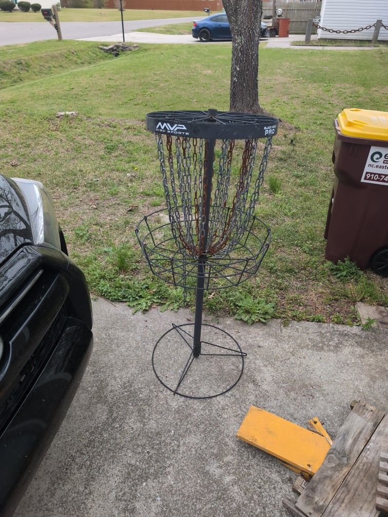 Disk Golf Hole 
