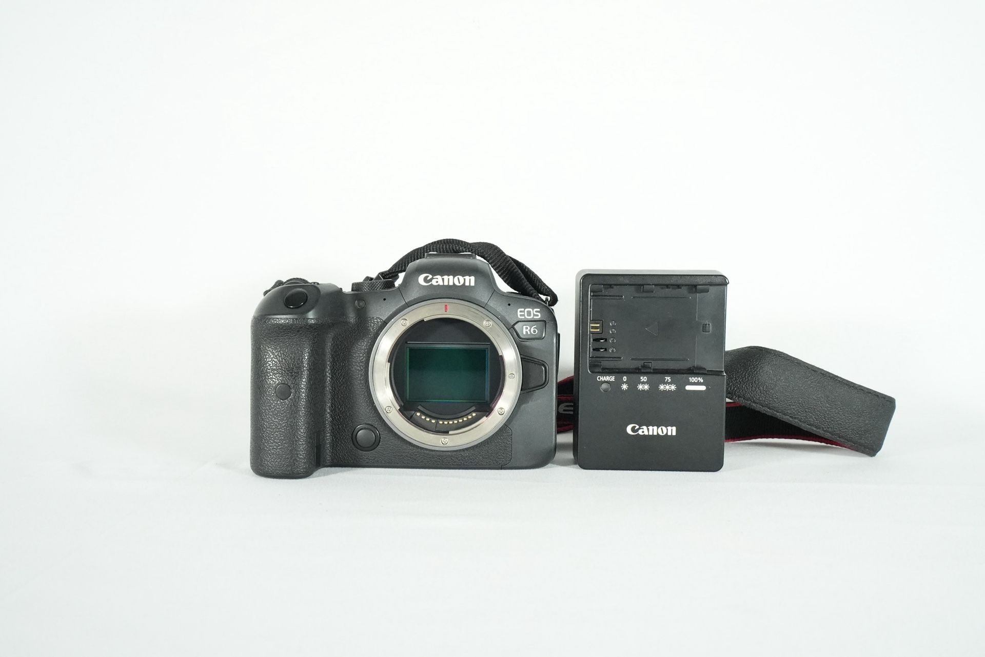 Canon Eos R6 full frame mirrorless camera