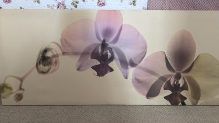 IKEA PJATTERYD Orchid Canvas Artwork