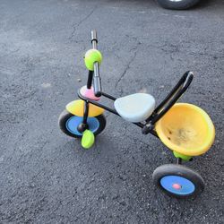 Trike Bike