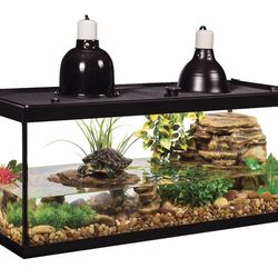 Aquatic Turtle Kit