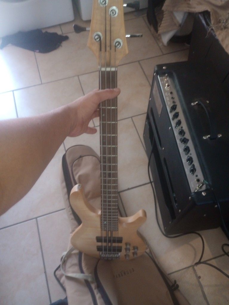 Bass And Acoustic Fender