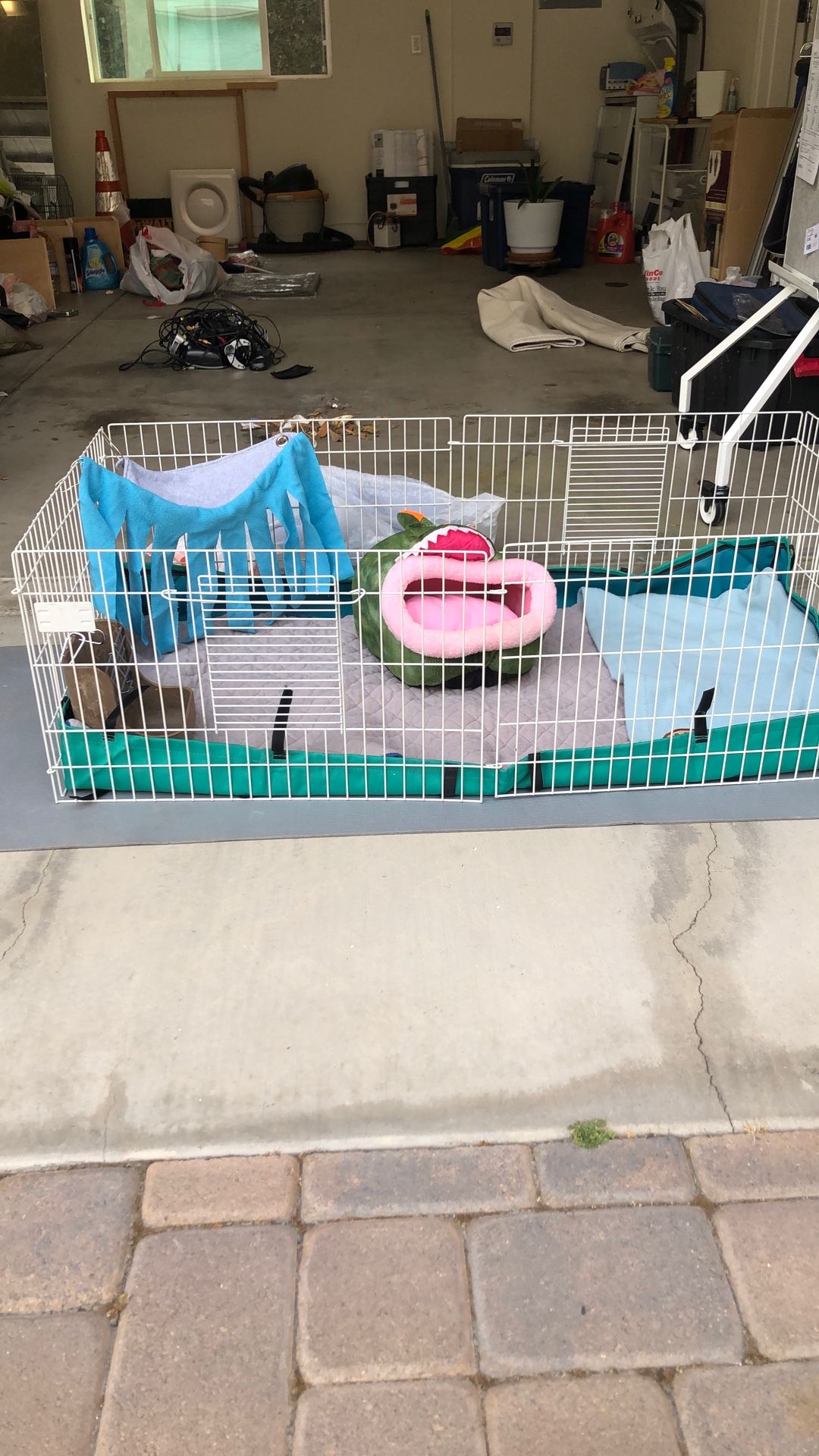 Full Guinea Pig Cage - And Guinea felt Bedding