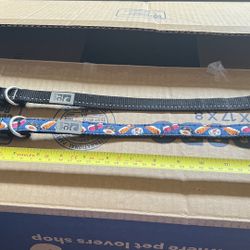 RC Pets Collar 