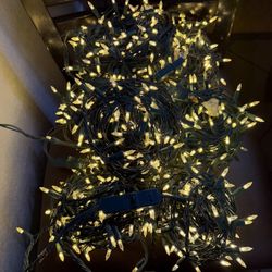 Christmas Lights  all $25 5 Lines 