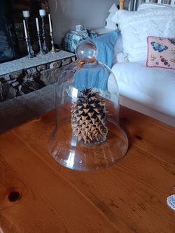 Garden cloche.