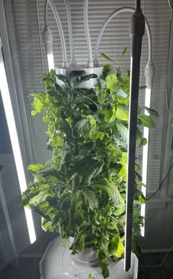 Tower Garden HOME By JUICE PLUS ( Like New Condition)