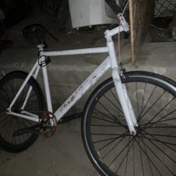 Fixie 