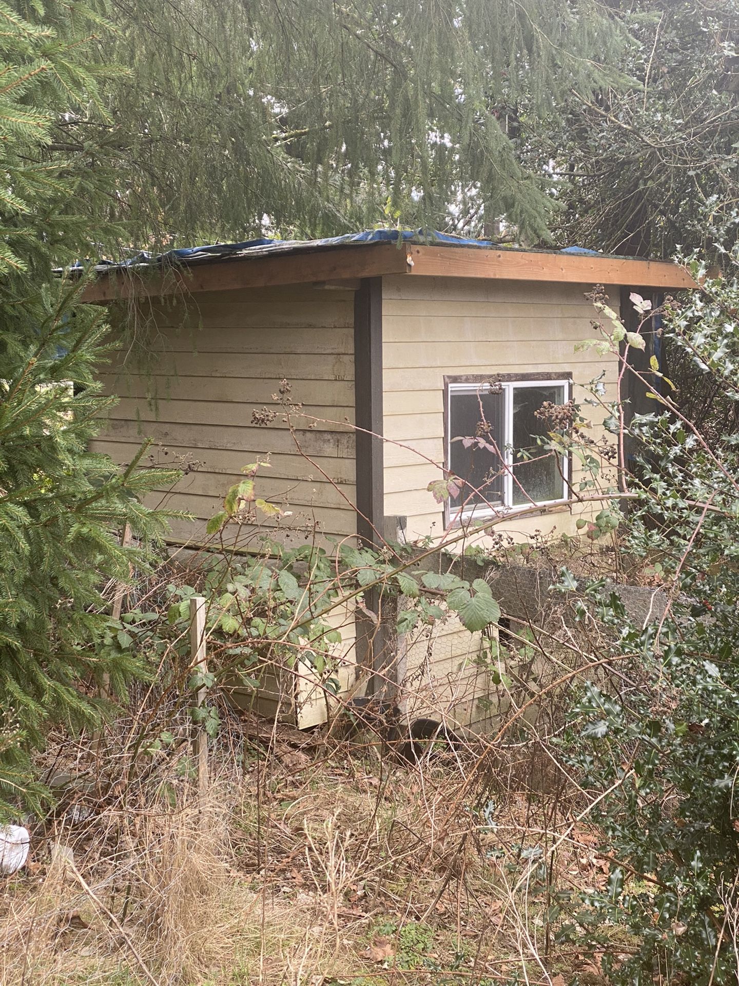 FREE Chicken Coop