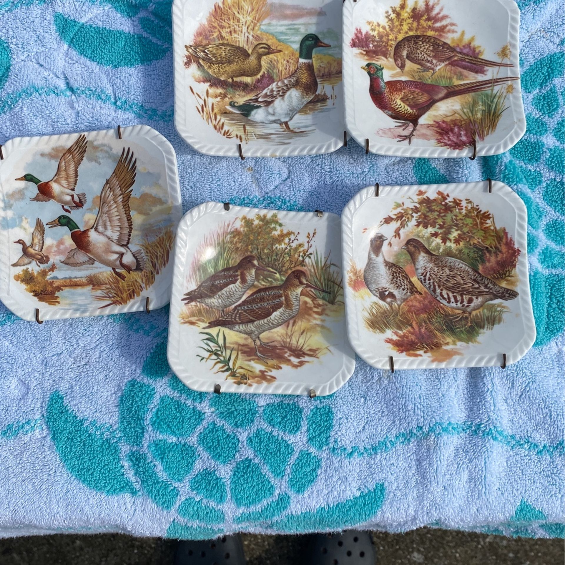 Royal Adderly Game Bird Bone China Dishes