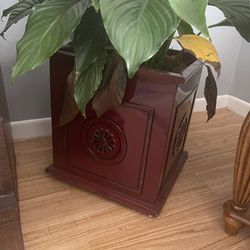 Plant holder