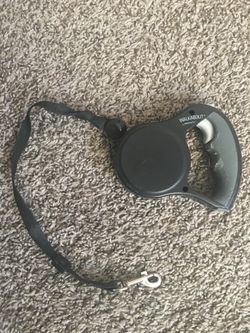 Retractable dog leash