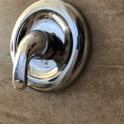 Moen Shower Trims