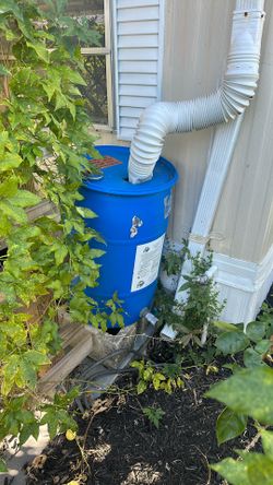 30 Gallon Rain Barrel Drum 