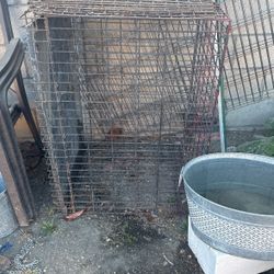 Dog Cage 