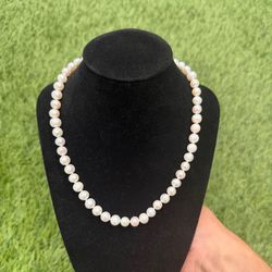 16” AAA Grade Pearl Necklace
